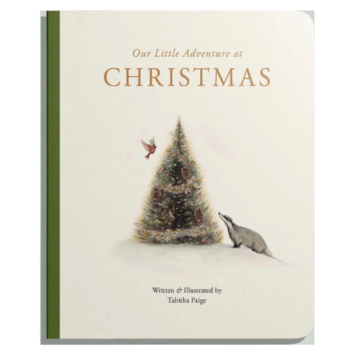 Our Little Adventure at Christmas - Paige Tate Books | Maisonette