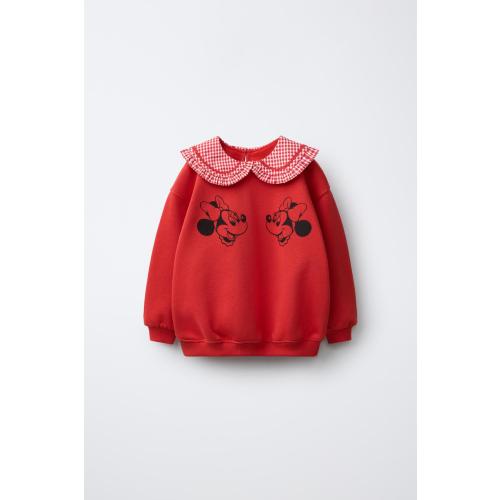 MINNIE MOUSE © DISNEY GINGHAM PETER PAN COLLAR SWEATSHIRT - Red | ZARA United States