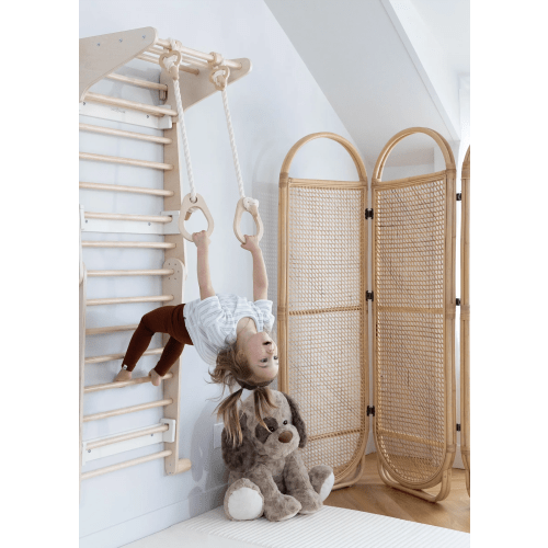 Exercise Rings  for Swedish Wall Climber