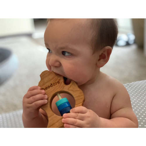 Michigan State Hand Rattle