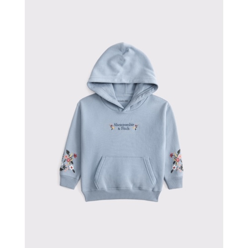 toddler embroidered logo popover hoodie