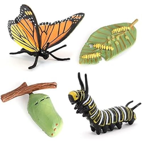 Butterfly Growth Cycle, Animal Growth Cycle Biological Model, Growth Stage Lifelike Butterfly Life Cycle Model Set for Kids Education Insect Themed Party Favors