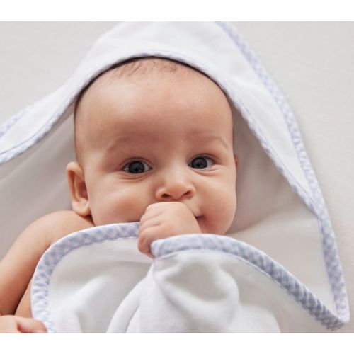 Gingham Baby Hooded Towel & Washcloth Collection - Light Blue