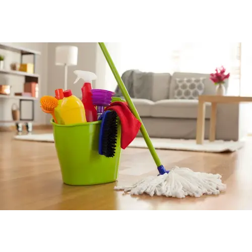 Postpartum House Cleaner