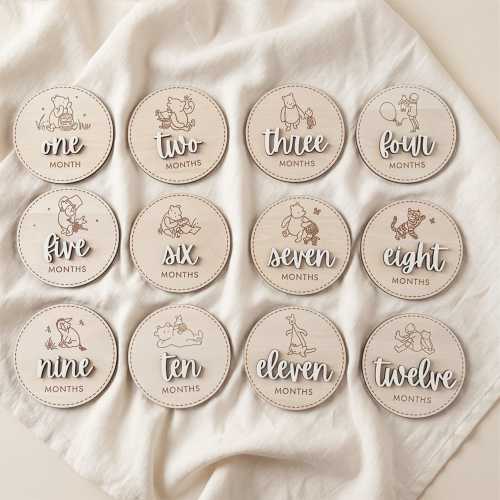 Winnie the Pooh Baby Milestone Discs: Hand-Painted Wood Monthly Growth Markers