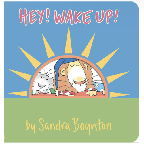 Hey! Wake Up! (Boynton on Board)