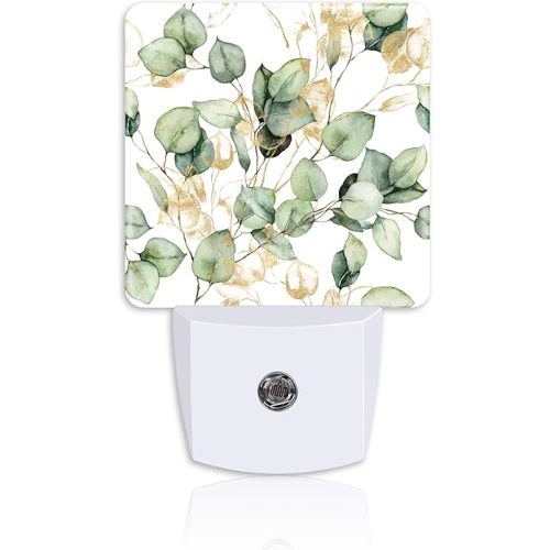 Night Light,Watercolor Eucalyptus Leaf Plug-in Night Light Auto Dusk-to-Dawn Sensor Gold and Green Leaves Energy Efficient LED Lamp for Room Decor,Hallway,Kitchen,Bathroom,Nursery,Stairs