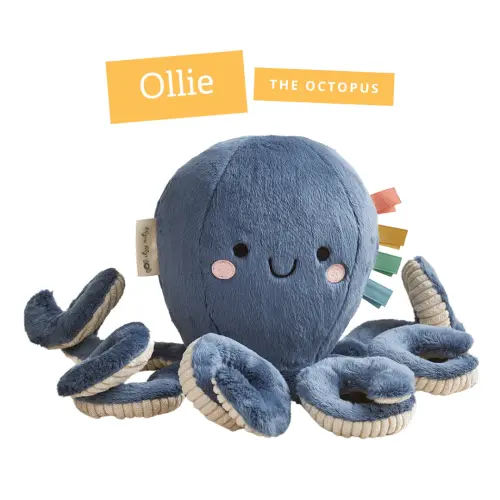 Sweetie Snuggles™ Plush – Itzy Ritzy