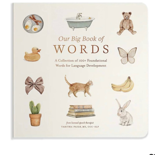 Our Big Book of First Words: A Collection of 100+ Foundational Words for Language Development (Tabitha Paige Children's Book Series)