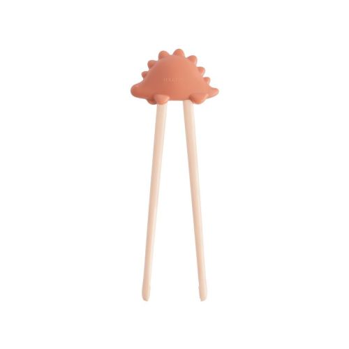 Training Chopsticks Rose One Size