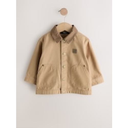 Buy Tan Brown Canvas Overshirt (3mths-7yrs) from Next USA