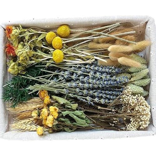 DIY Natural Dried Flower Set for Vase, Bulk Boho Dried Flowers with Stems,Fall Decor, Mini Flower Arrangements.(Pink)