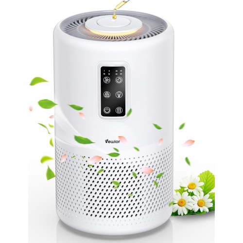 Air Purifiers for Home Large Room up to 1400ft², H13 True HEPA Air Purifier for Bedroom with night light, Fragrance Sponge - Walmart.ca
