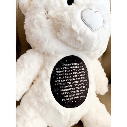 Everything We Ever Prayed For Bear Stuffy – OUR HOUSE ABOVE