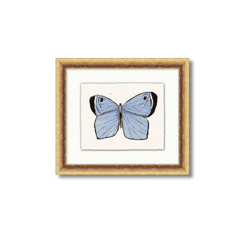 Jordan Connelly Soft Butterfly Framed Wall Art, Blue, 16 x 14"
