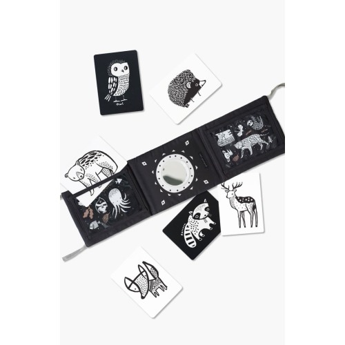 Tummy Time Gallery with Mirror and Art Cards for Baby Bundle