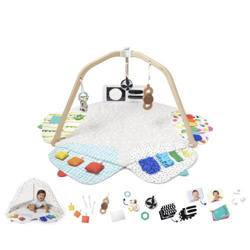 Lovevery "The Play Gym"