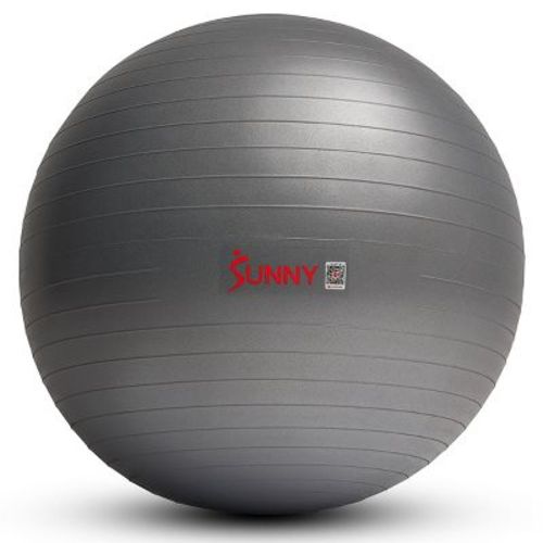 Premium Stability Exercise Ball – 45–75 cm - Sunny Health & Fitness