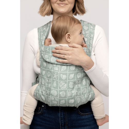 Coastal Aerial Carrier