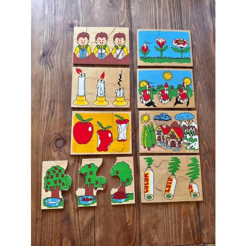 Montessori wooden puzzle set