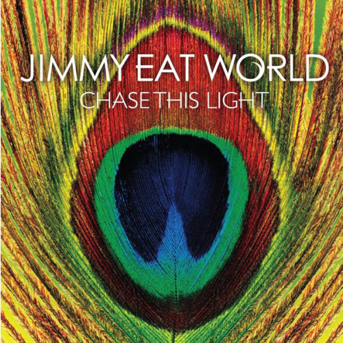 Chase This Light