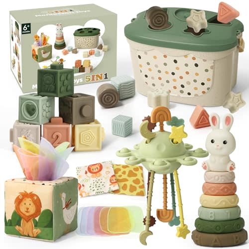 Baby Toys for 6 to 12 Months, Montessori Toys for 6-8-9-12 Month Old | Shape Sorter, Baby Blocks, Learning Developmental Sensory Toys, Baby Tissue Box, Gifts for 6-36 Months Girls Boys Infant Toys