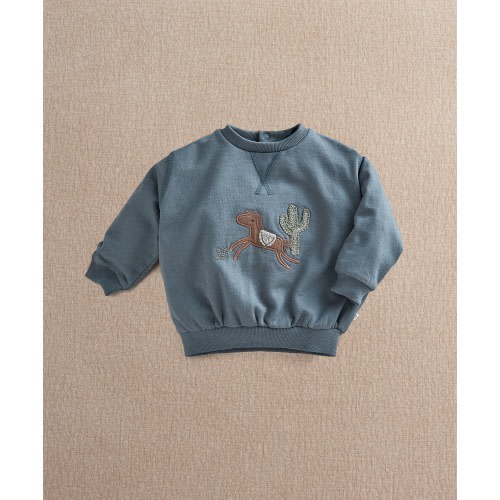 Pony Sweatshirt