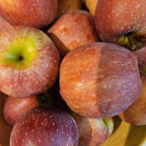 Pick up groceries (I will pay for them)