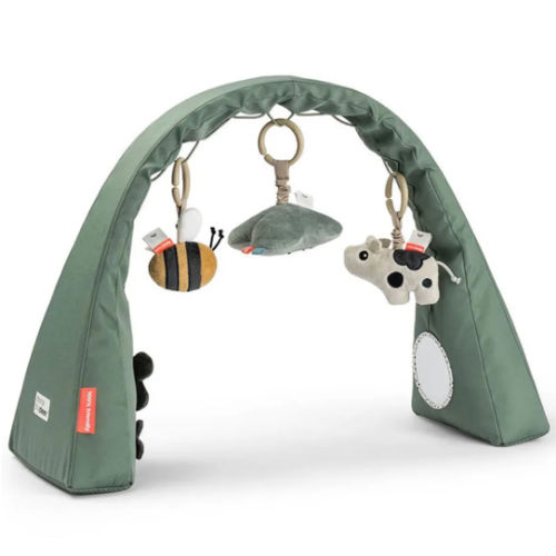 Farm Infant Play Gym - Green