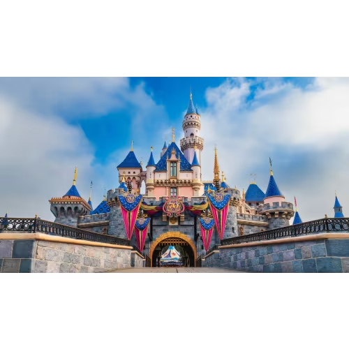 Disneyland Gift Card - Special Toddler Admission (Jan - May)