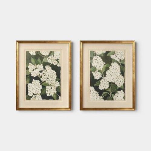 16"x20" Set of 2 Floral Framed Wall Art - Threshold™