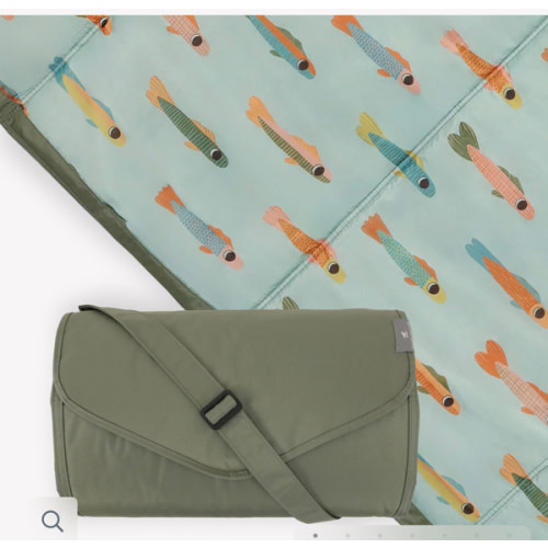 Outdoor Blanket - Minnow Pond