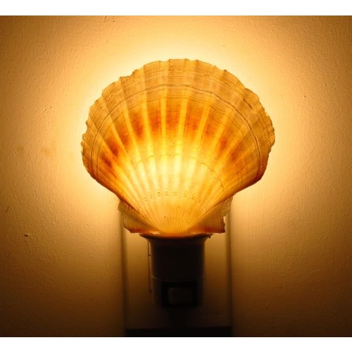 Natural sclallop Sea Shell Nightlight Kitchen Bathroom Bedroom Beach Home Decor Craft, Sea Snail Lovers Gift, Birthday Gift