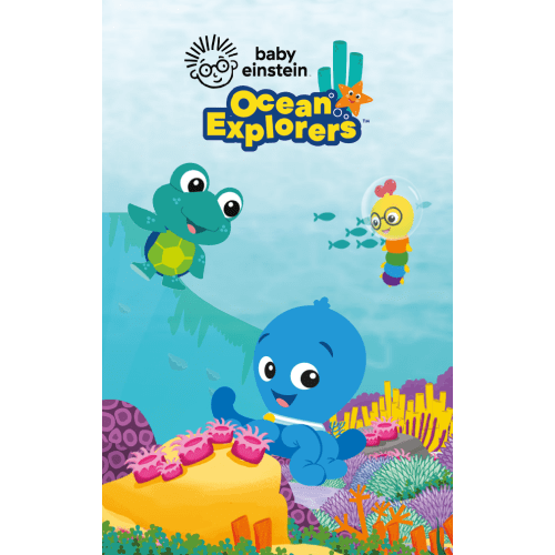 Baby Einstein 4-Card Collection