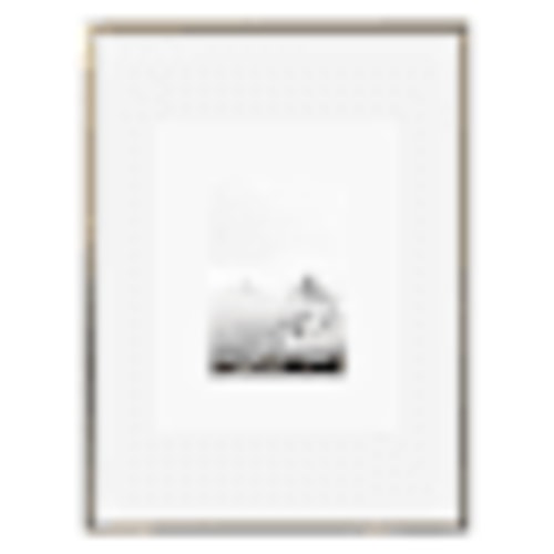 12x16 Champagne Thin Matted to 8x10 and 5x7 Wall Frame