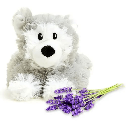 Intelex Warmies Microwavable French Lavender Scented Plush Jr Husky