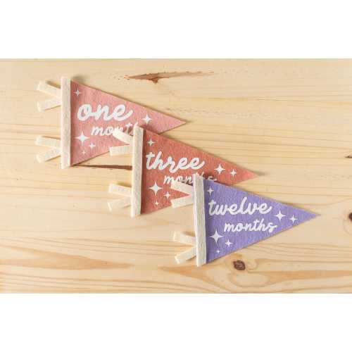 Pennant Flag Felt Monthly Milestone Markers | Newborn Baby Shower Gift | 1 Month-1 Year Milestone Markers |Baby Photo Prop