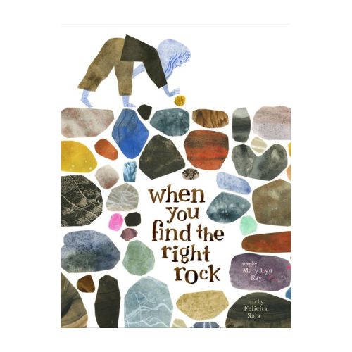When You Find the Right Rock - by Mary Lyn Ray (Hardcover)