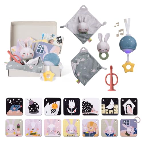 Taf Toys Newborn Bedtime Kit - Baby Essentials Portable Sound Machine with Soothing Music & Light, Contrast Cards, Security Blanket, Bunny Teether & Toothbrush - Ideal Newborn