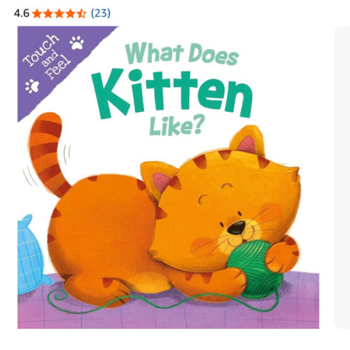 What Does Kitten Like?: Touch & Feel Board Book (Touch and Feel)