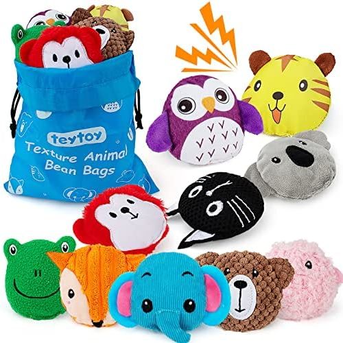 teytoy Sensory Bean Bag for Kids 10 Pack,Texture Sensory Beanbags,Sensory Toys for Autism,Animal Sensory Fine Motor Toys with Storage Bag for Boys and Girls