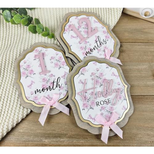 Vintage Floral Baby Milestone Markers | Pink Roses, Bows, Personalized Name Sign