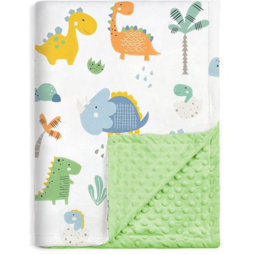HOMRITAR Baby Blanket for Boys Girls Super Soft Minky Blanket with Dotted Backing, Dinosaurs Multicolor Printed for Toddler Nursery 30 x 40 Inch