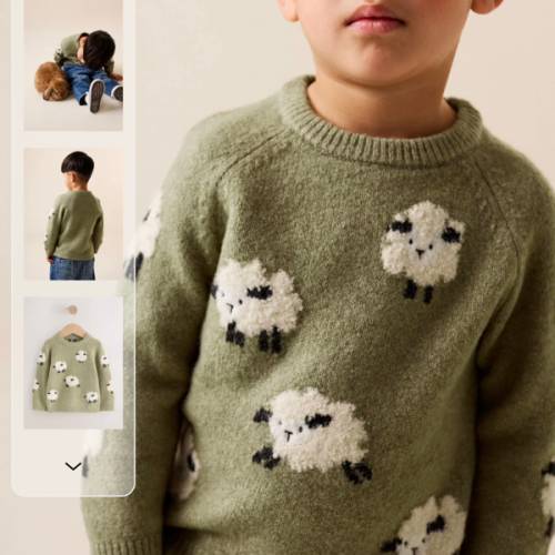 Buy Green Sheep Knitted Crew Neck Jumper (3mths-7yrs) from Next USA
