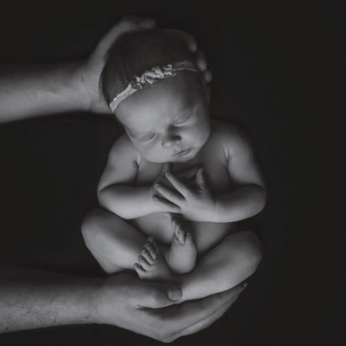 Newborn Photography Session