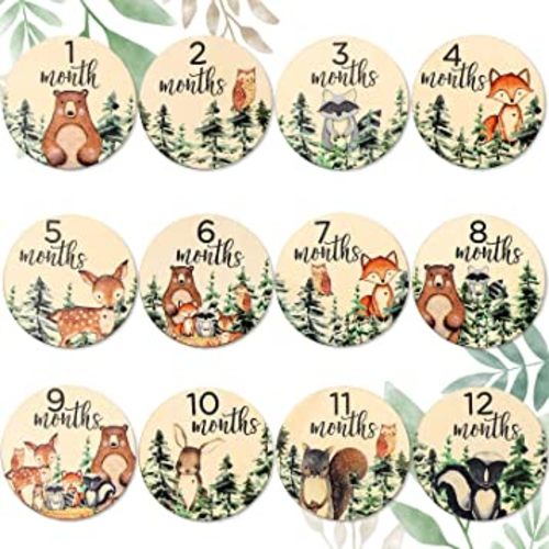 Whaline 12Pcs Woodland Baby Monthly Milestone Cards Milestone Wooden Discs Double-Sided Cute Animal Baby's First Year Age Announcement Sign for Newborn Baby Photo Props Gift