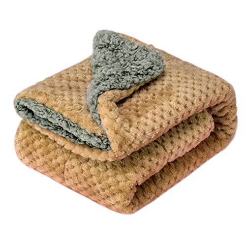 Fuzzy Blanket or Fluffy Blanket for Baby Girl or boy, Soft Warm Cozy Coral Fleece Toddler, Infant or Newborn Receiving Blanket for Crib, Stroller, Travel, Outdoor, Decorative (32" x 40", DG-Mocha)