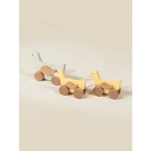Wooden Duck Family Pull Toy