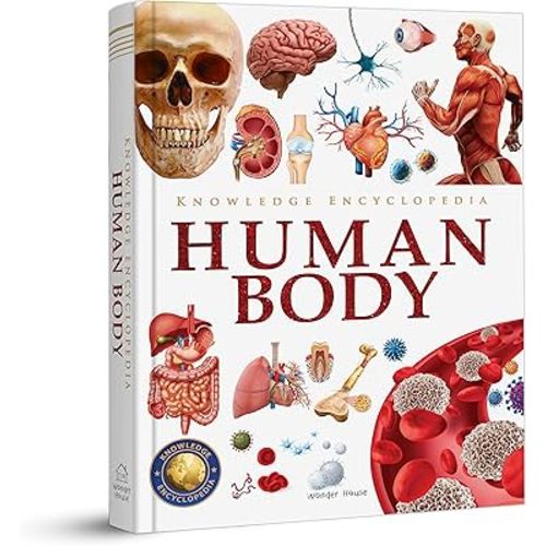 Knowledge Encyclopedia: Human Body (Knowledge Encyclopedia For Children)