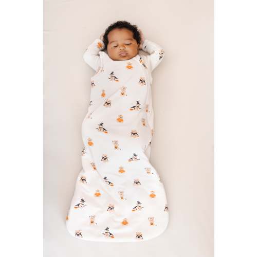 Sleep Bag in Halloween Teddy 1.0